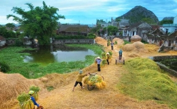 Trong lòng bạn chứa thứ gì?